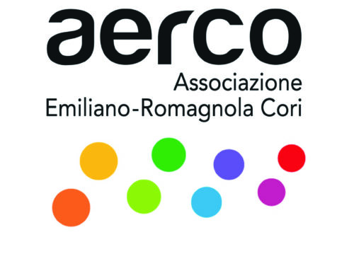 L’evoluzione visiva di AERCO e FENIARCO: un dialogo grafico  tra passato e futuro